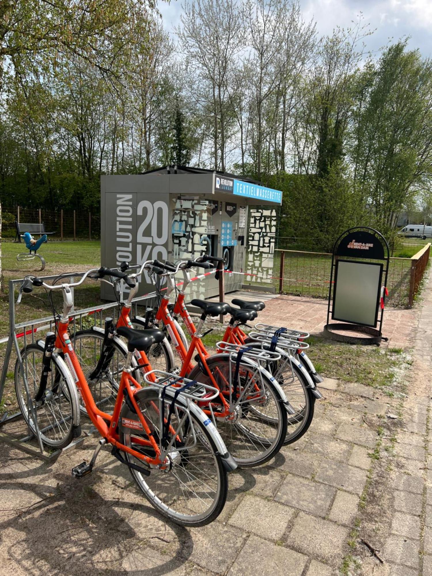 Chalet Quattro In Bosrijke Omgeving Anloo Eksteriør billede